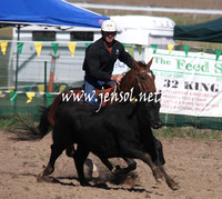 BombalaCampdraft2013Sat_0085