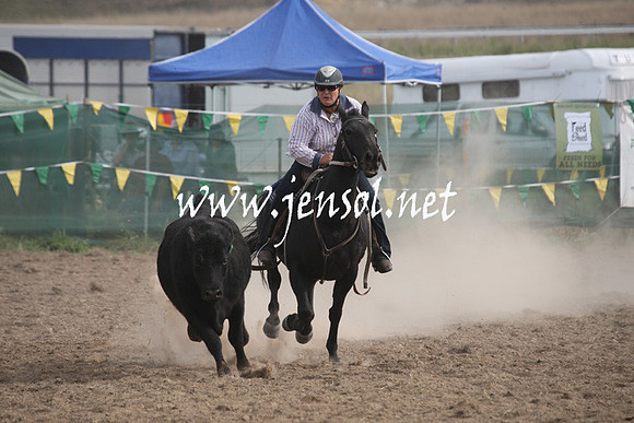 BombalaCampdraft2013Sat_0854