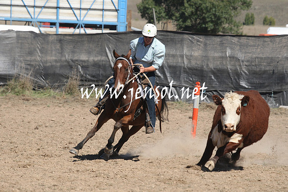 BombalaCampdraft2013Sat_0478