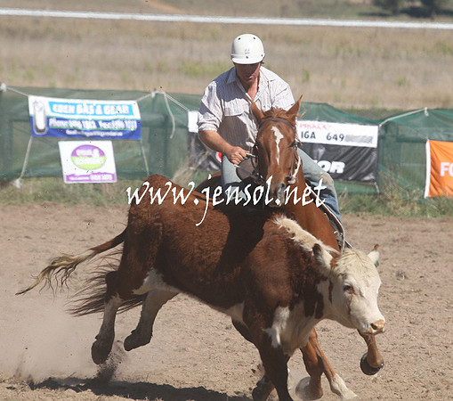 BombalaCampdraft2013Sat_0234