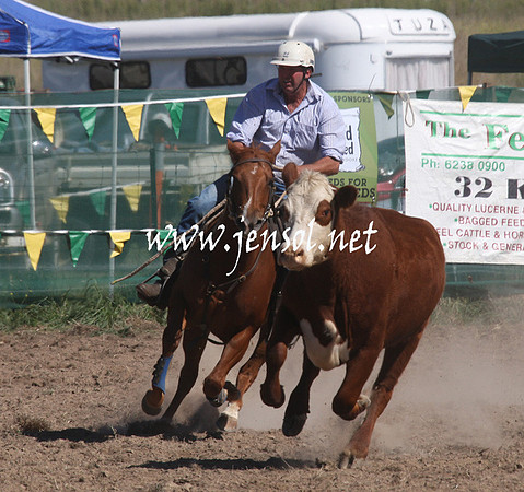 BombalaCampdraft2013Sat_0412