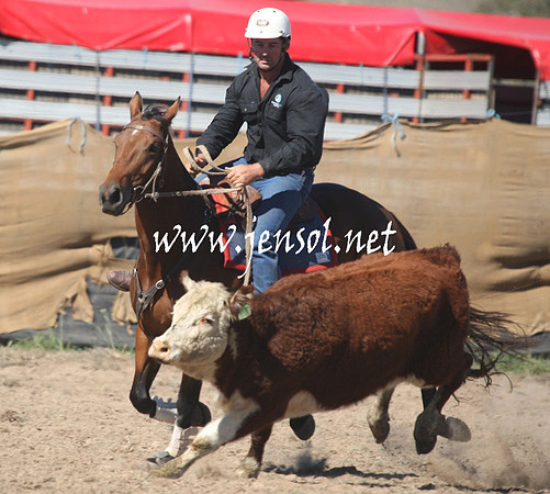 BombalaCampdraft2013Sat_0206