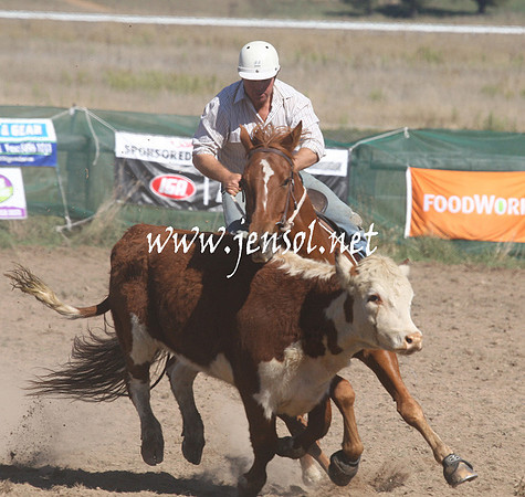 BombalaCampdraft2013Sat_0235