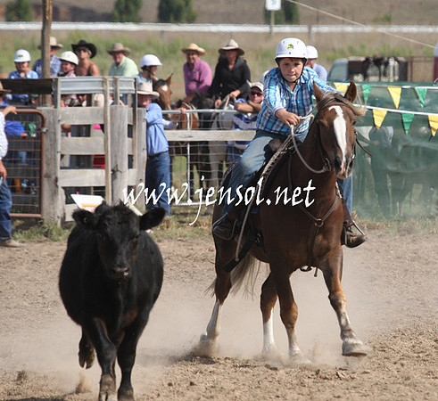 BombalaCampdraft2013Sat_0627