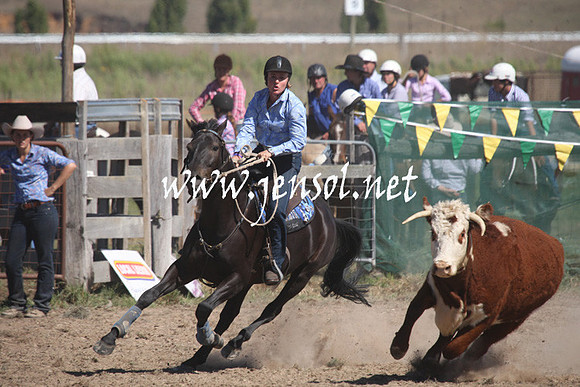 BombalaCampdraft2013Sat_0444