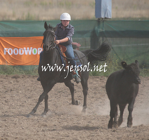 BombalaCampdraft2013Sat_0667