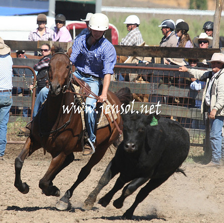 BombalaCampdraft2013Sat_0256