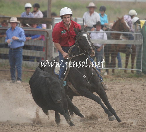 BombalaCampdraft2013Sat_0779