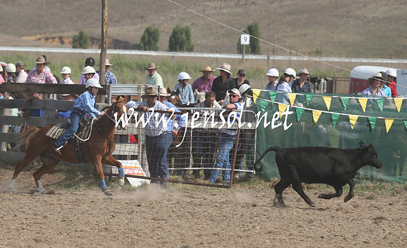 BombalaCampdraft2013Sat_0639