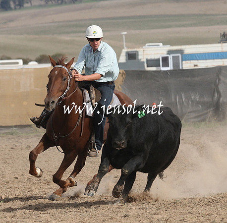 BombalaCampdraft2013Sat_0891