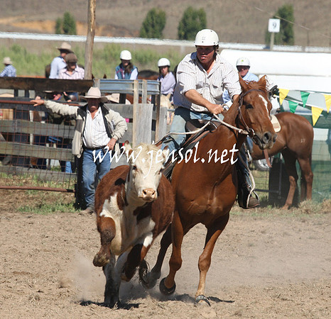 BombalaCampdraft2013Sat_0223