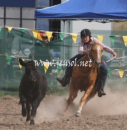 BombalaCampdraft2013Sat_0737