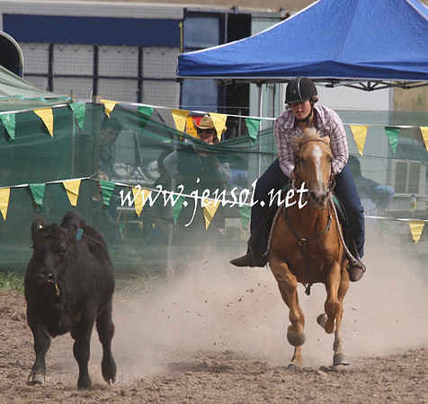 BombalaCampdraft2013Sat_0738