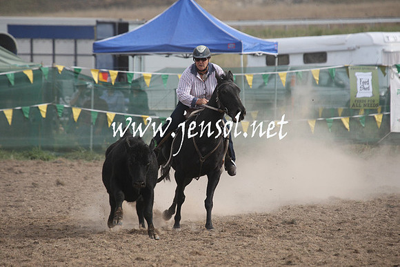 BombalaCampdraft2013Sat_0853