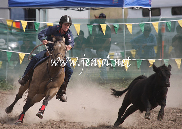 BombalaCampdraft2013Sat_0757