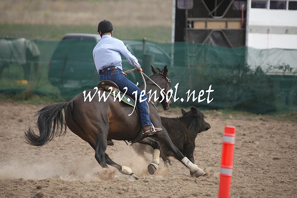 BombalaCampdraft2013Sat_0714