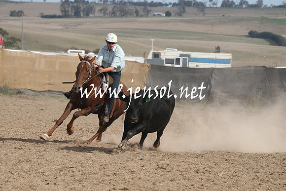 BombalaCampdraft2013Sat_0892