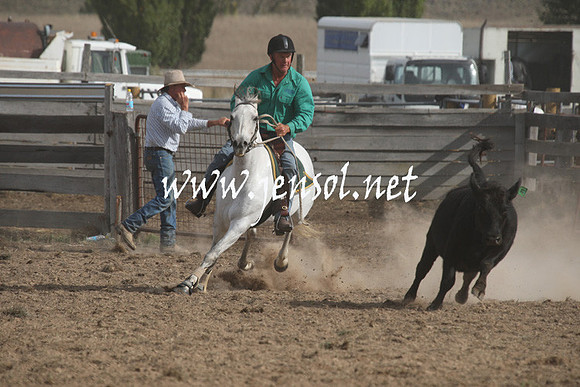 BombalaCampdraft2013Sat_0878