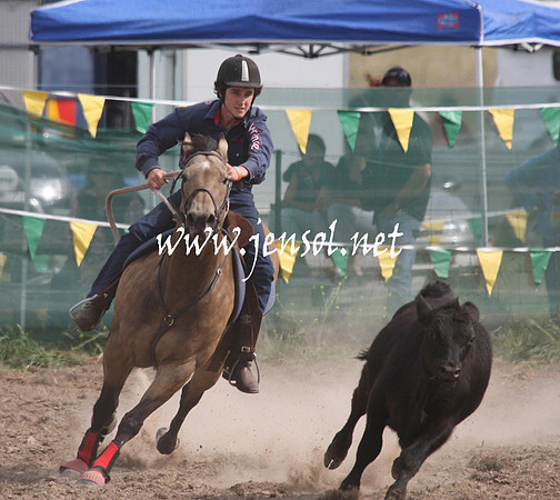 BombalaCampdraft2013Sat_0754