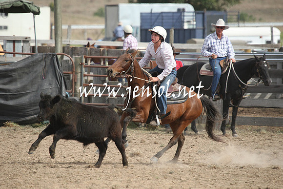 BombalaCampdraft2013Sat_0727