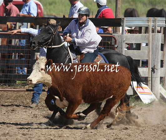 BombalaCampdraft2013Sat_0512