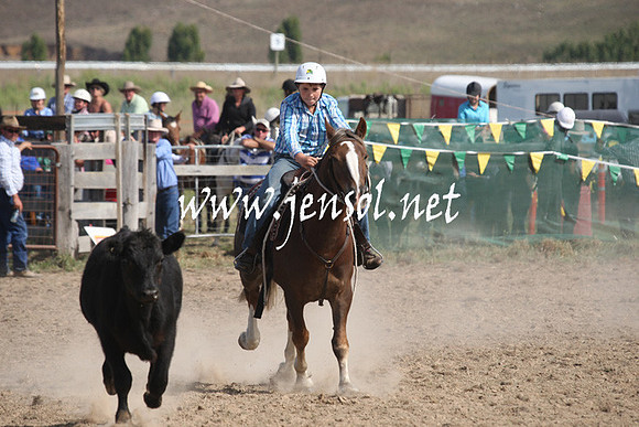 BombalaCampdraft2013Sat_0628