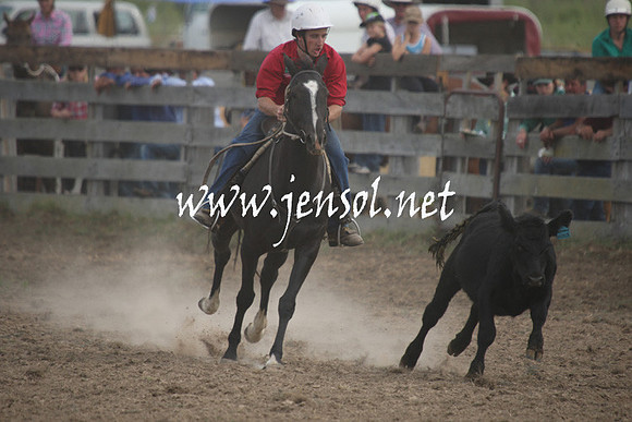 BombalaCampdraft2013Sat_0769