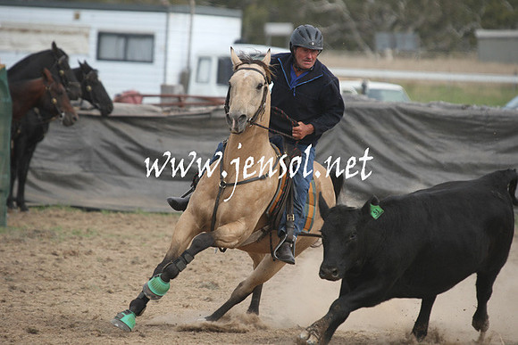 BombalaCampdraft2013Sat_0827