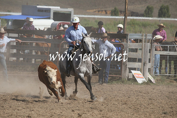 BombalaCampdraft2013Sat_0577