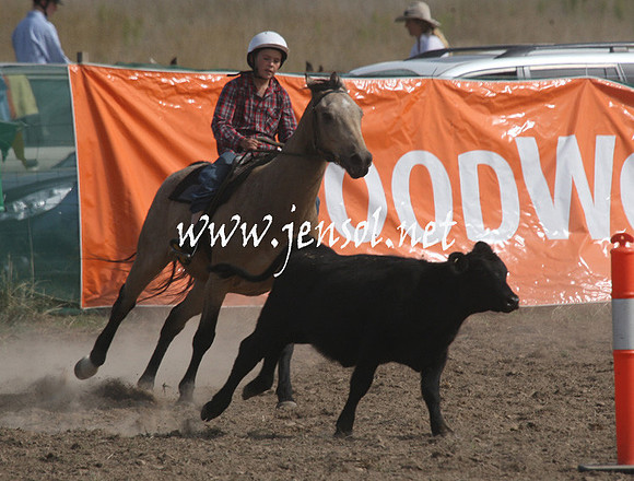 BombalaCampdraft2013Sat_0662