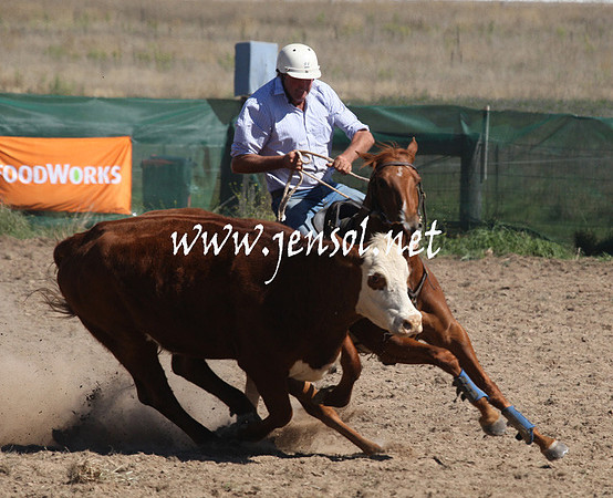 BombalaCampdraft2013Sat_0424