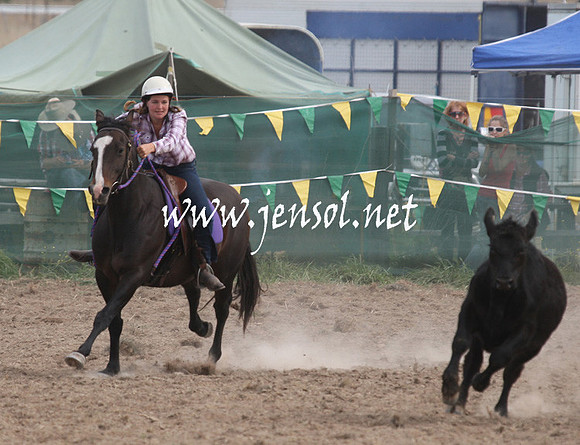 BombalaCampdraft2013Sat_0760