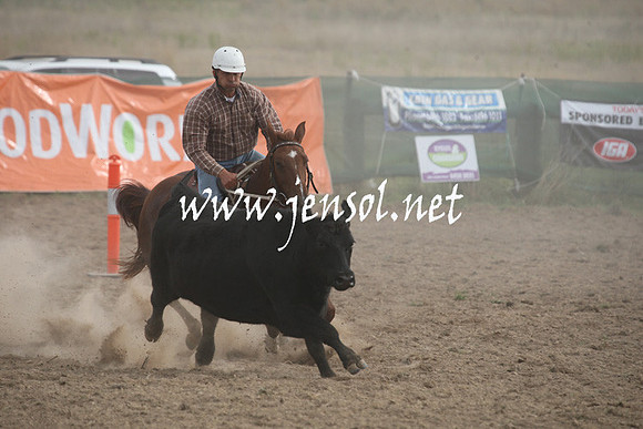 BombalaCampdraft2013Sat_0837