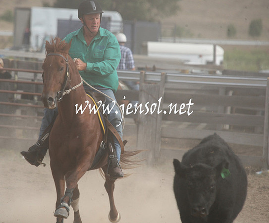 BombalaCampdraft2013Sat_0833