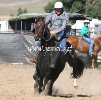 BombalaCampdraft2013Sat_0153