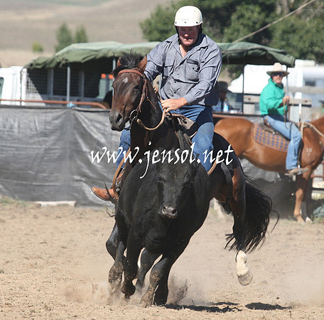 BombalaCampdraft2013Sat_0153