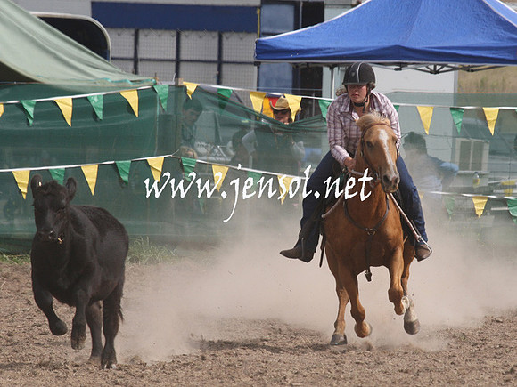 BombalaCampdraft2013Sat_0741