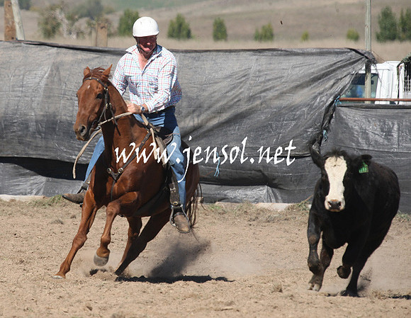 BombalaCampdraft2013Sat_0202