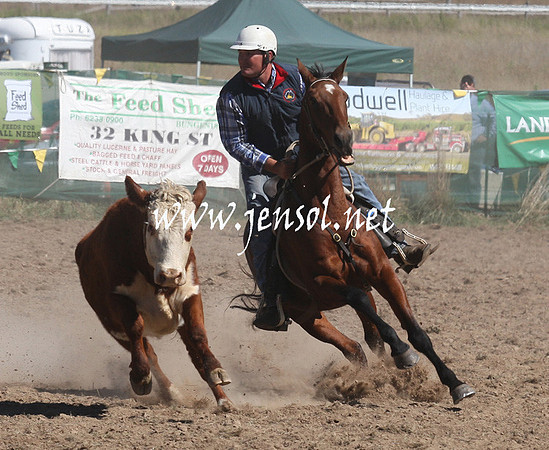 BombalaCampdraft2013Sat_0457