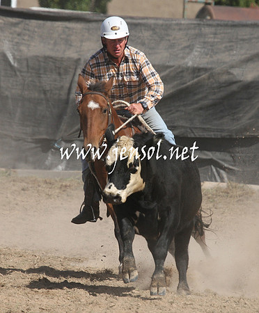 BombalaCampdraft2013Sat_0539