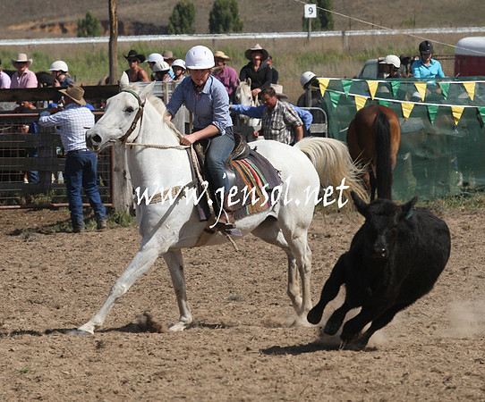 BombalaCampdraft2013Sat_0618