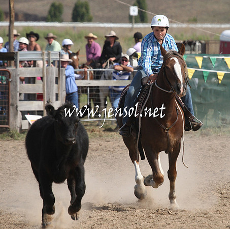 BombalaCampdraft2013Sat_0629