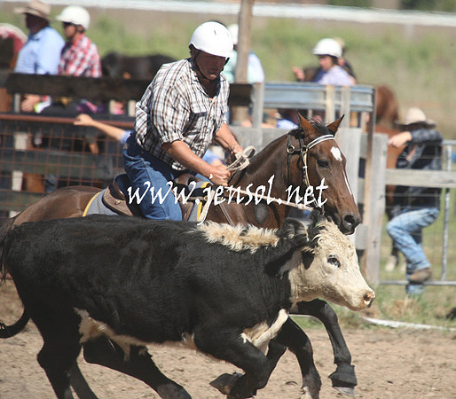BombalaCampdraft2013Sat_0292