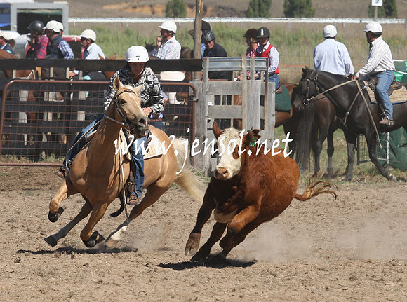 BombalaCampdraft2013Sat_0387