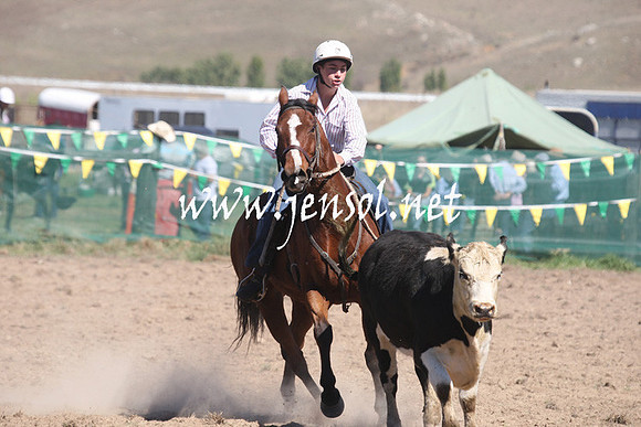 BombalaCampdraft2013Sat_0332