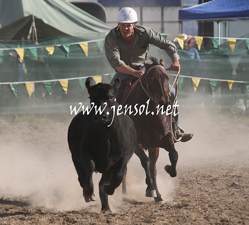 BombalaCampdraft2013Sat_1029