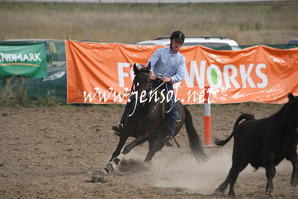 BombalaCampdraft2013Sat_0718