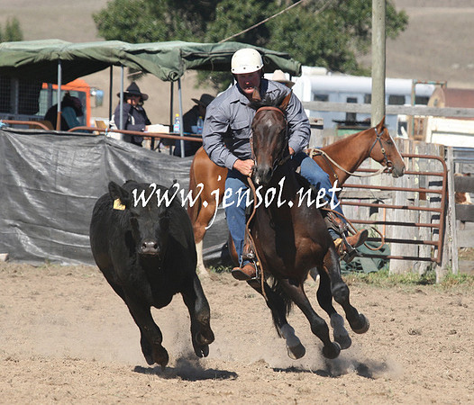 BombalaCampdraft2013Sat_0149