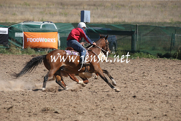 BombalaCampdraft2013Sat_0527