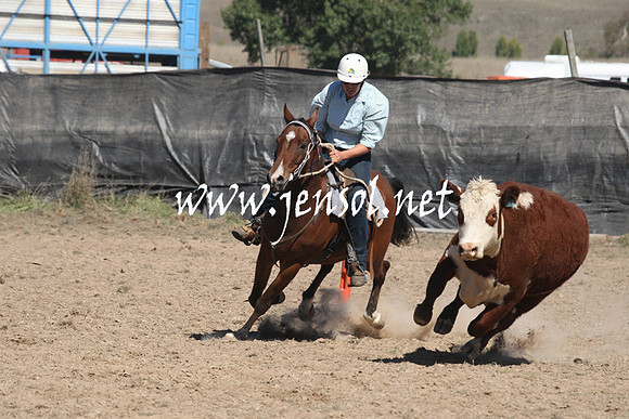 BombalaCampdraft2013Sat_0476